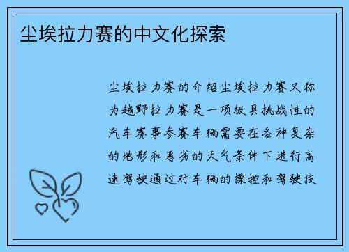 尘埃拉力赛的中文化探索