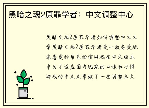 黑暗之魂2原罪学者：中文调整中心